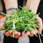 Eating According to TCM:  Five Foods for Spring